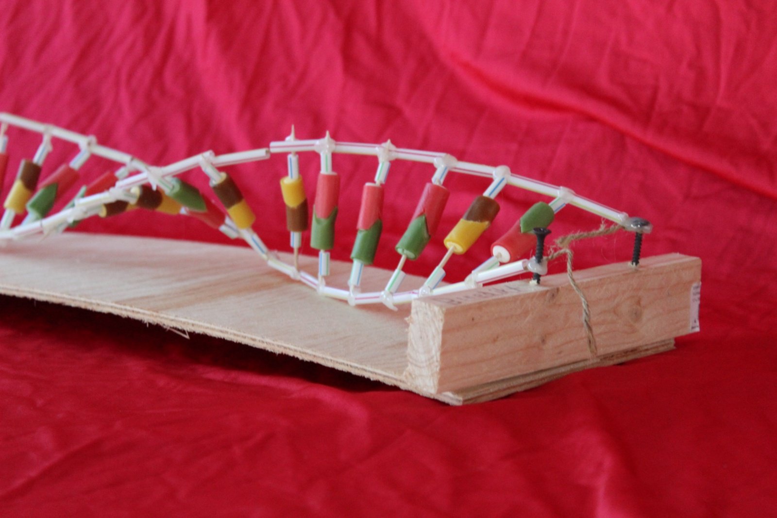 DNA Modell