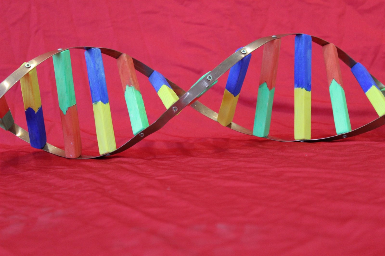 DNA Modell