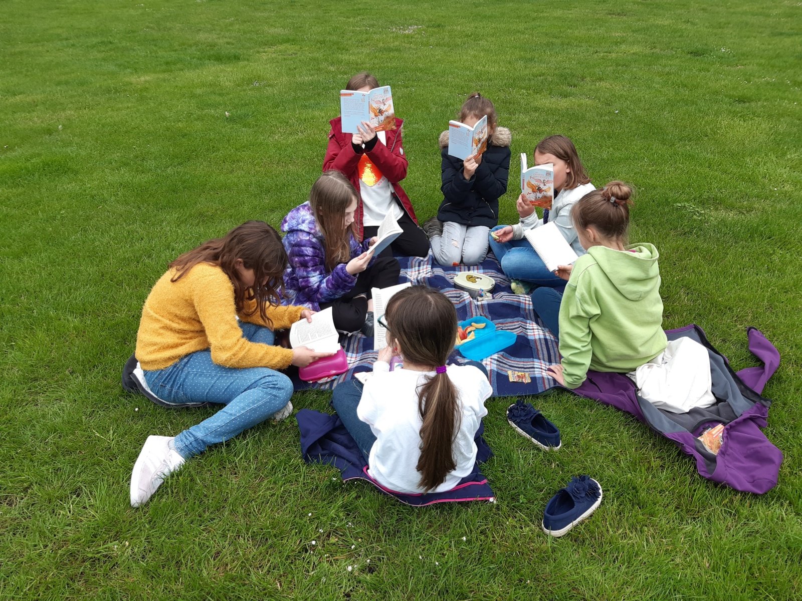 Lesepicknick