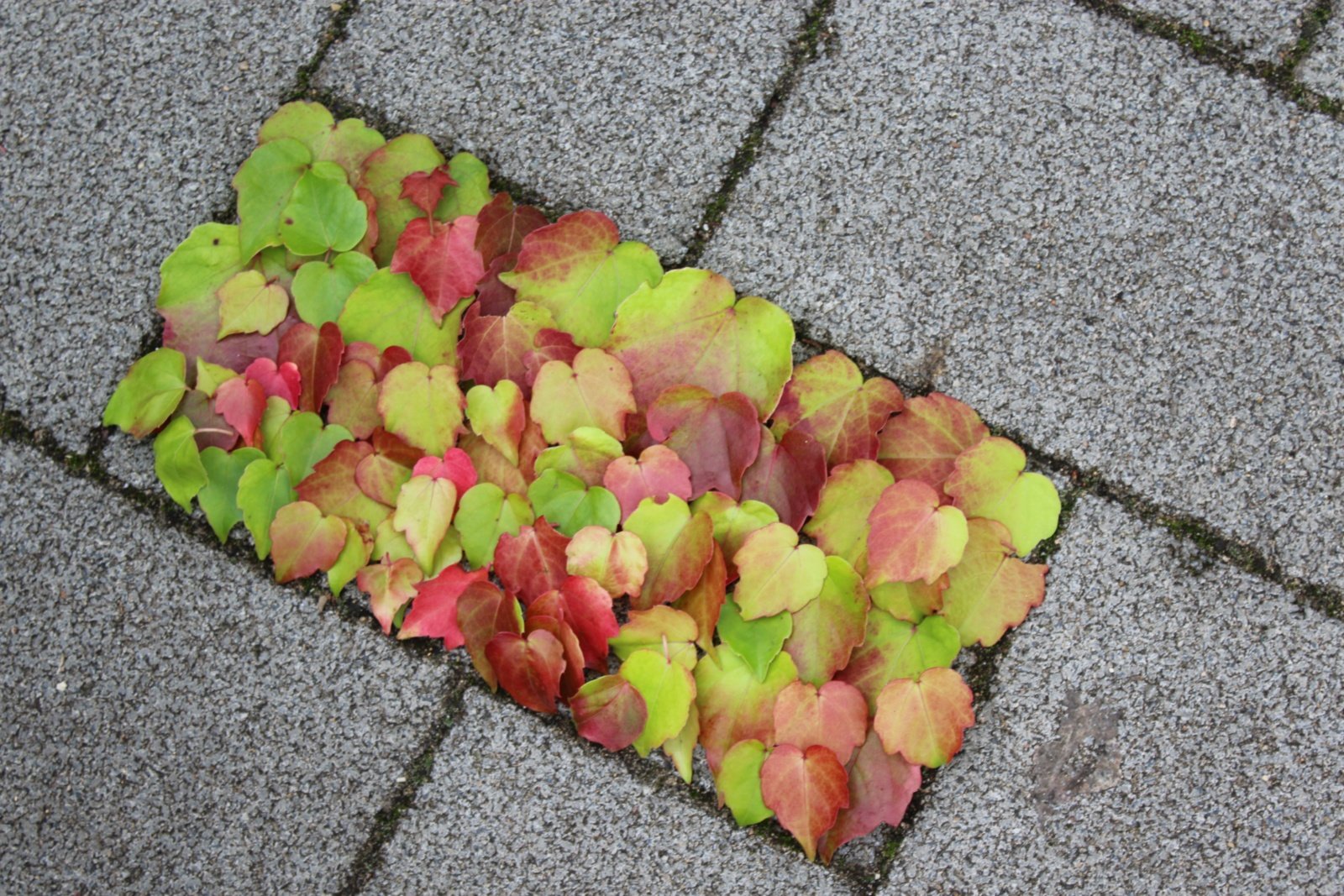 Land art