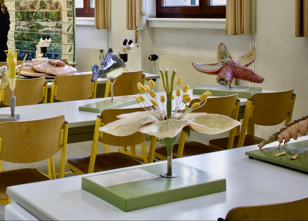 Biologie